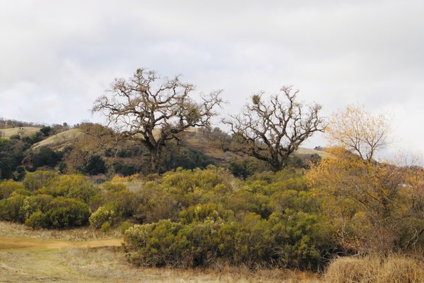 Joseph D.Grant County Park