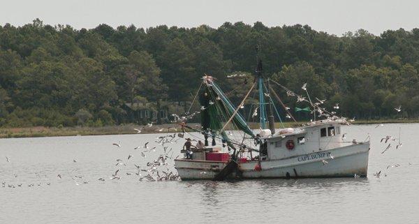 A fishing boat on the Intracoastal