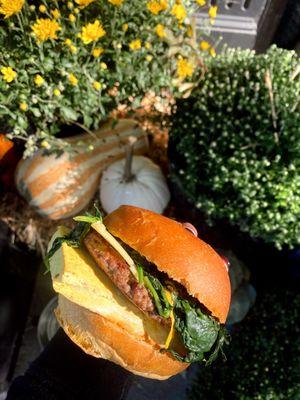 Awesome OG Vegan breakfast Sammy enjoyed al fresco by the mums & pumpkins on a gorgeous morning!