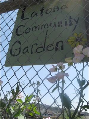 The Latona Community Garden is part of the green patchwork quilt of neighborhood gardens that are sprouting up in Bayview.