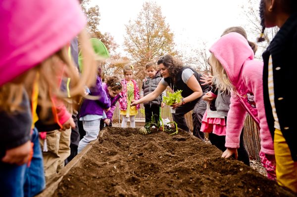 Preschoolers learn about health lifestyles including growing their own veggies.