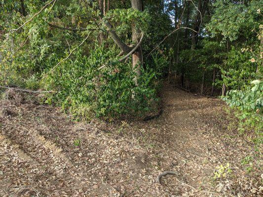 Entrance to the forest path behind a baseball field