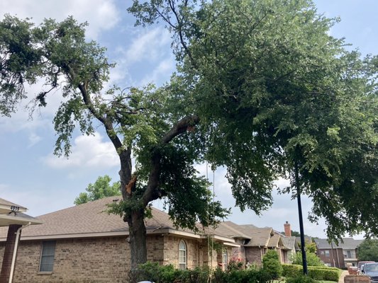 Limb over house and light pole. Safely removed of course.