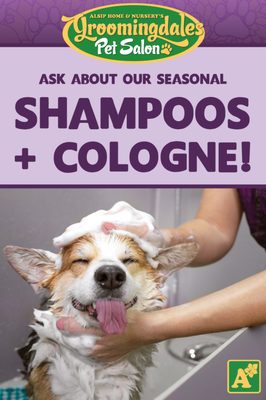 Ask about our Seasonal Shampoo & Cologne scents!