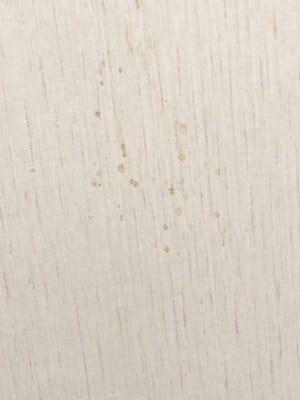 Dried blood? Spilled coffee? In the exam room on the wall.