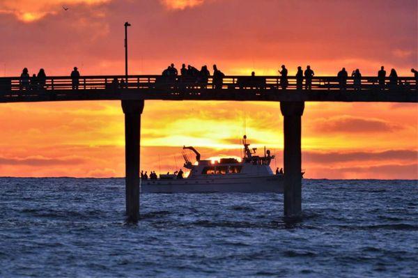 Returning home to Mission Bay after a day of fishing