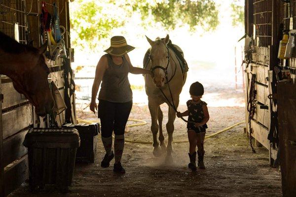 Windy Willow Stables