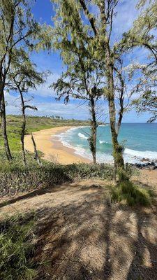 Kauai Snorkel Rentals