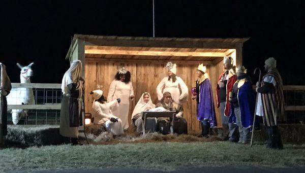 Live nativity