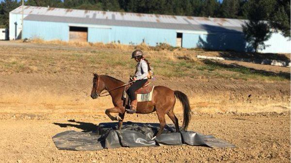 Rustic Ridge Arena & Trail Course