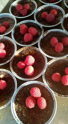 Raspberry Chocolate Creme Brulee