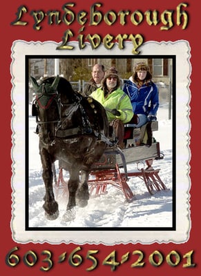 Another business we offer at Feel Good Farms! Horse and Carriage Rides!