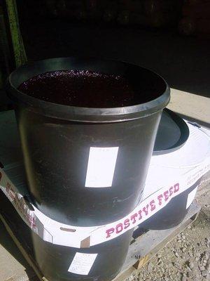 Postive Feed Tubs available