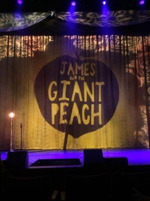 James and the giant peach musical at SDSU's Don Powell theatre.