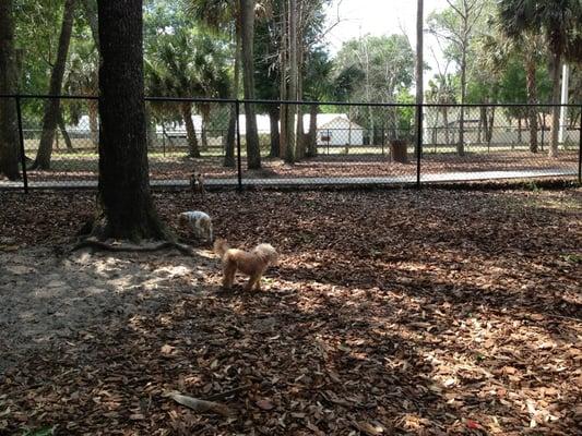 Small and dirty this little dog park will do if you have no other choice.