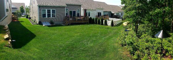 The view of our back yard, before the patio.