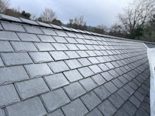 Izzy Roofing & Waterproofing