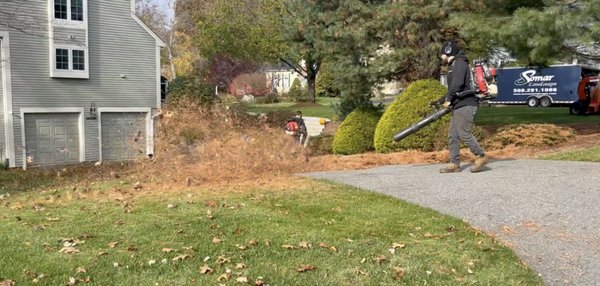 Leaf cleanup