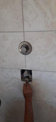 Shower Repair