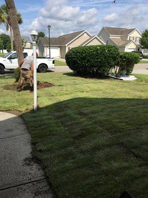 Installing SOD