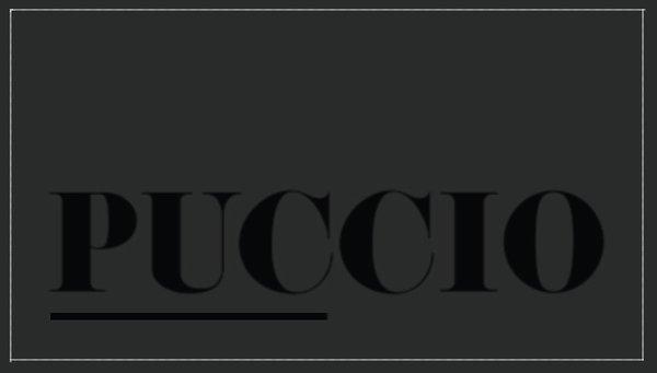 Puccio Property Services