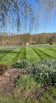 With the proper maintenance on your lawn, we can create strips as bright as these!