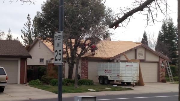 These are the guys of Merit Roofing working their butts off!