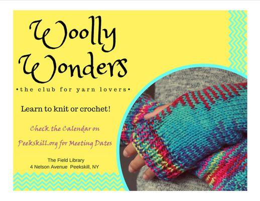 Wooly Wonders, The Field Library's Learn to Knit & Crochet group