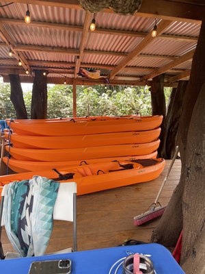 Kayak rental