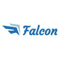 Falcon Charter Bus logo