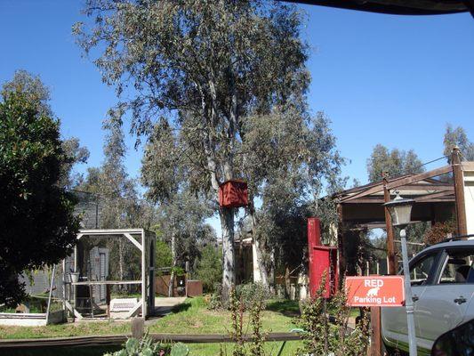 Owl boxes and enclosures.