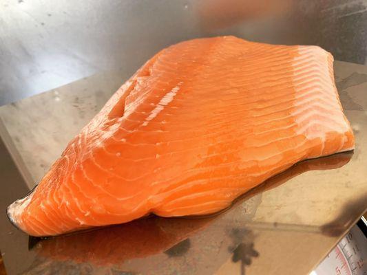 Wild King salmon fillet