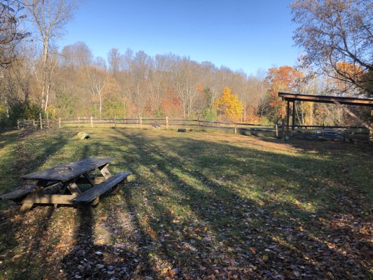 Small dog side with 2 picnic tables, one covered.