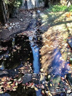 More flooding. After the water bill was our responsibility.