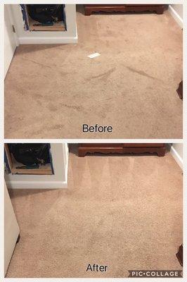 Carpet Cleaning - Before & After