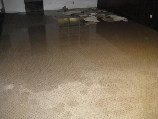 Water extraction carpet