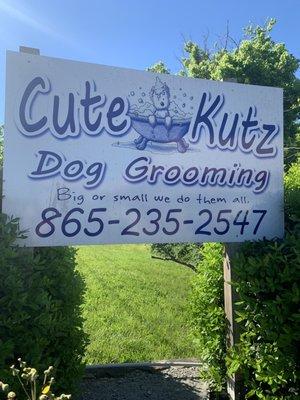 Road sign for Cute Kutz dog grooming