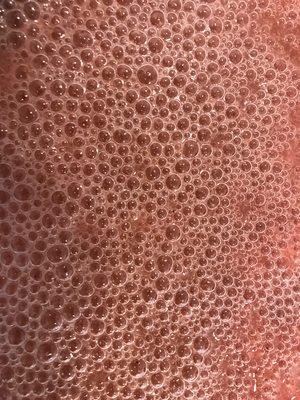 Kombucha Bubbles