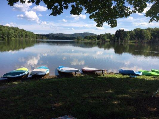 Paddle boards ready for rental