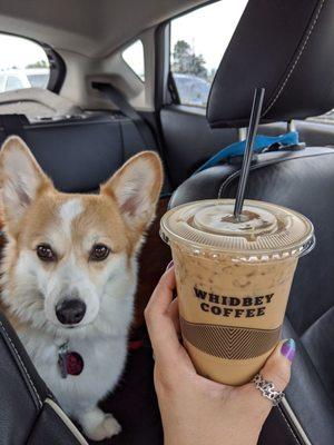 Yummy White Chocolate Cold Brew with cream and my pup got a treat from the barista :)