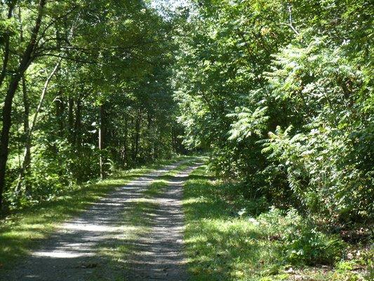 Trail surface varies and may include grassy areas, cinders and hard-packed dirt. Trail improvements and maintenance are on-going.