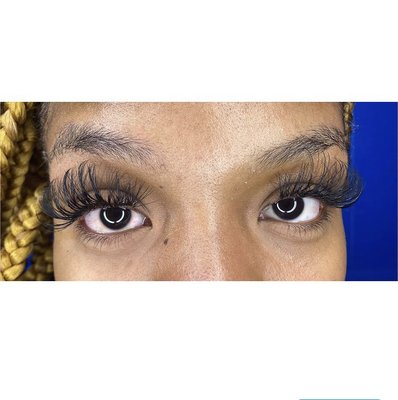 Volume Lashes