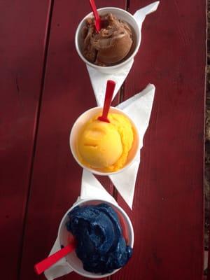 Chocolate, mango and blueberry/strawberry combo! All delicious!