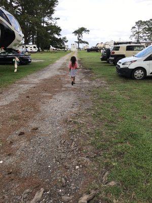 Sophia looking for shells at bells island