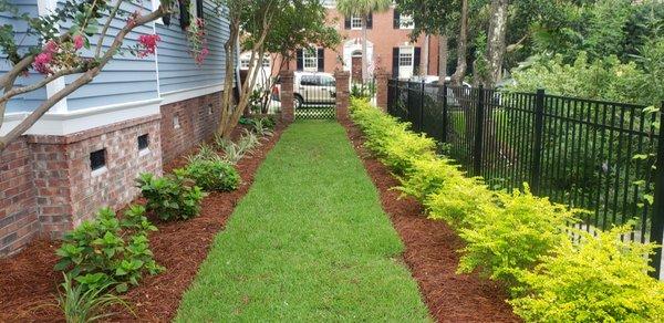 Downtown Charleston backyard.