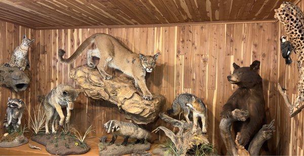 Los Padres Forest Association - Wheeler Gorge Visitor Center