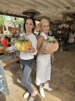 Thanksgiving centerpiece Succulent pumpkin workshops now available