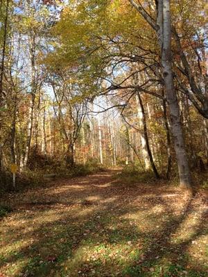 Charlottesville KOA Holiday