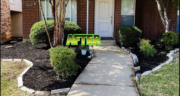 flowerbed cleaned out and black mulch added on top