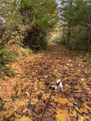 One of the trails leading to the lake